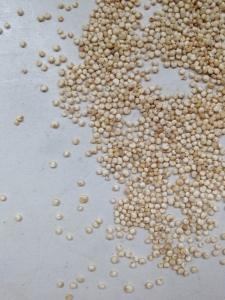 Quinoa